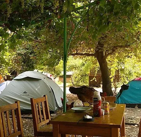 Butterfly Glamping + Camping + Bungalow * فتحية